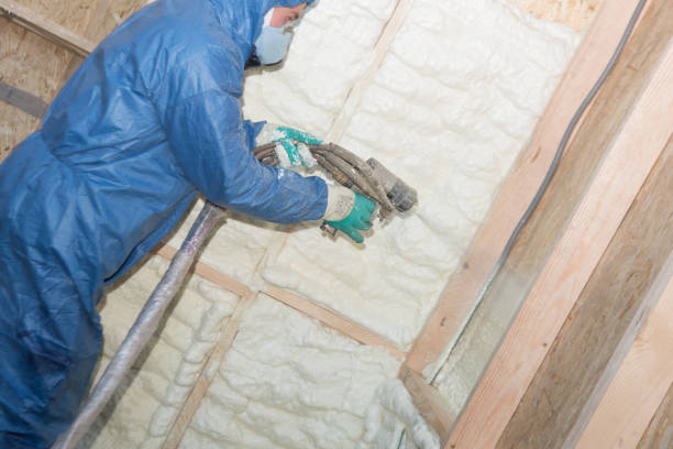 Types of Insulation We Offer in Spring Lake Park, MN